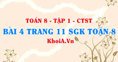 Bài 4 trang 11 SGK Toán 8 Tập 1 Chân trời sáng tạo